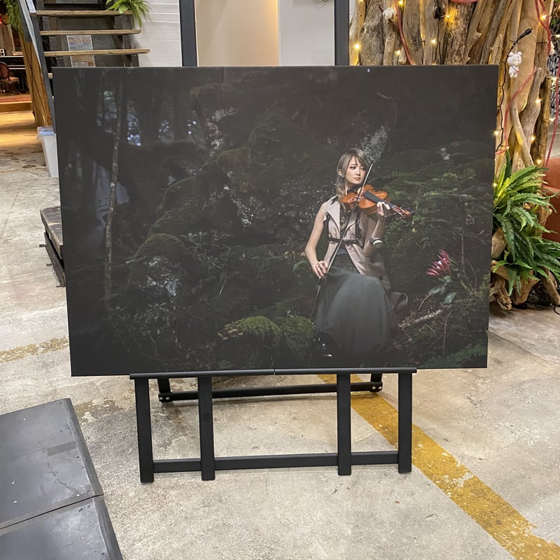 【オリジナル】アートパネル No.12 整理券¥0受付です☆【限定品】Ayasa×HASEO オリジナルアートパネルB