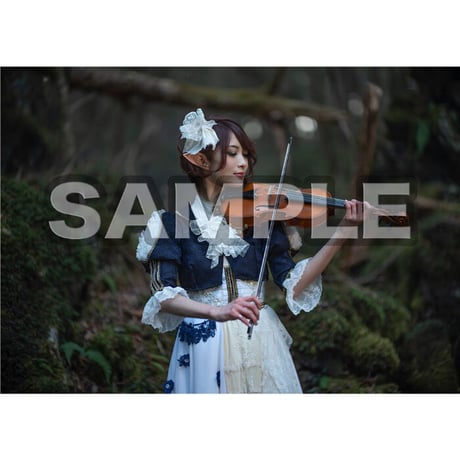 【本】「アートブック(ART BOOK)/CHRONICLE/Ayasa×HASEO」