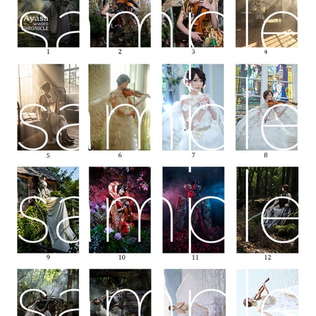 【本】「アートブック(ART BOOK)/CHRONICLE/Ayasa×HASEO」