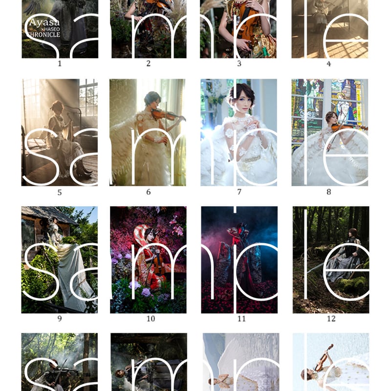 Ayasa×HASEO CHRONICLE Ayasa×HASEO CHRONICLE
