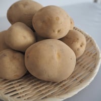 おじゃがくんっ！【とうや】10kg