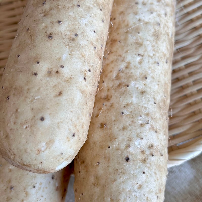 正品】ネバリスター10kg | いんなみ農園