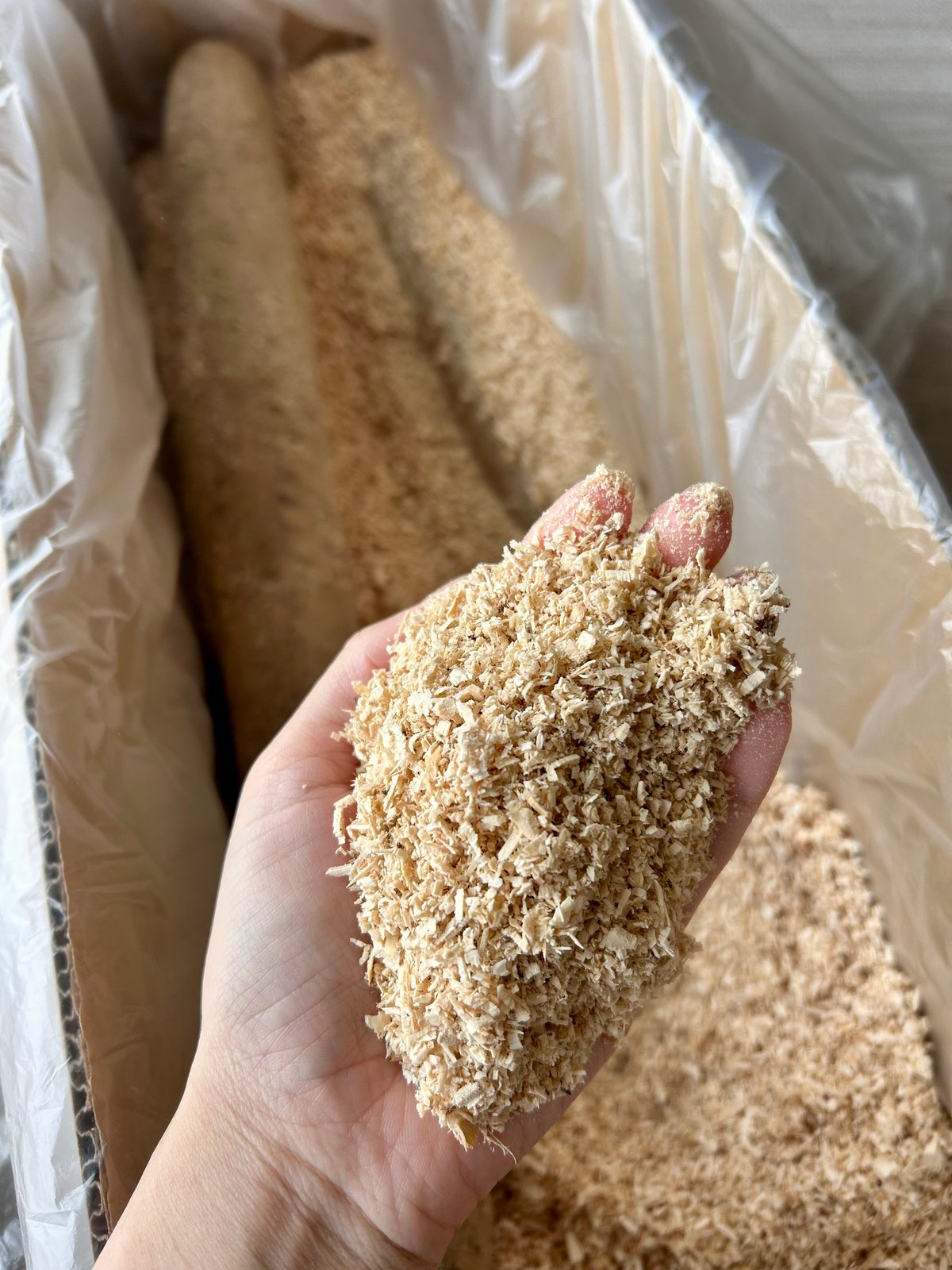 轟様　ネバリスター１０キロ ネバリスター10kg | いんなみ農園