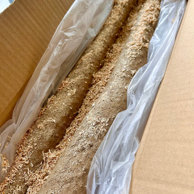 正品】ネバリスター10kg | いんなみ農園 正品】ネバリスター10kg | いんなみ農園