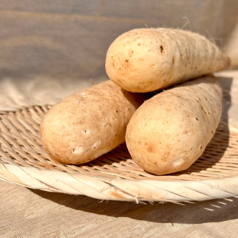 正品】ネバリスター10kg | いんなみ農園