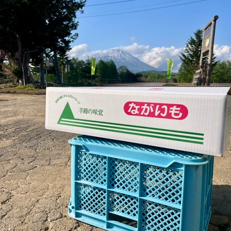 ネバリスター10kg