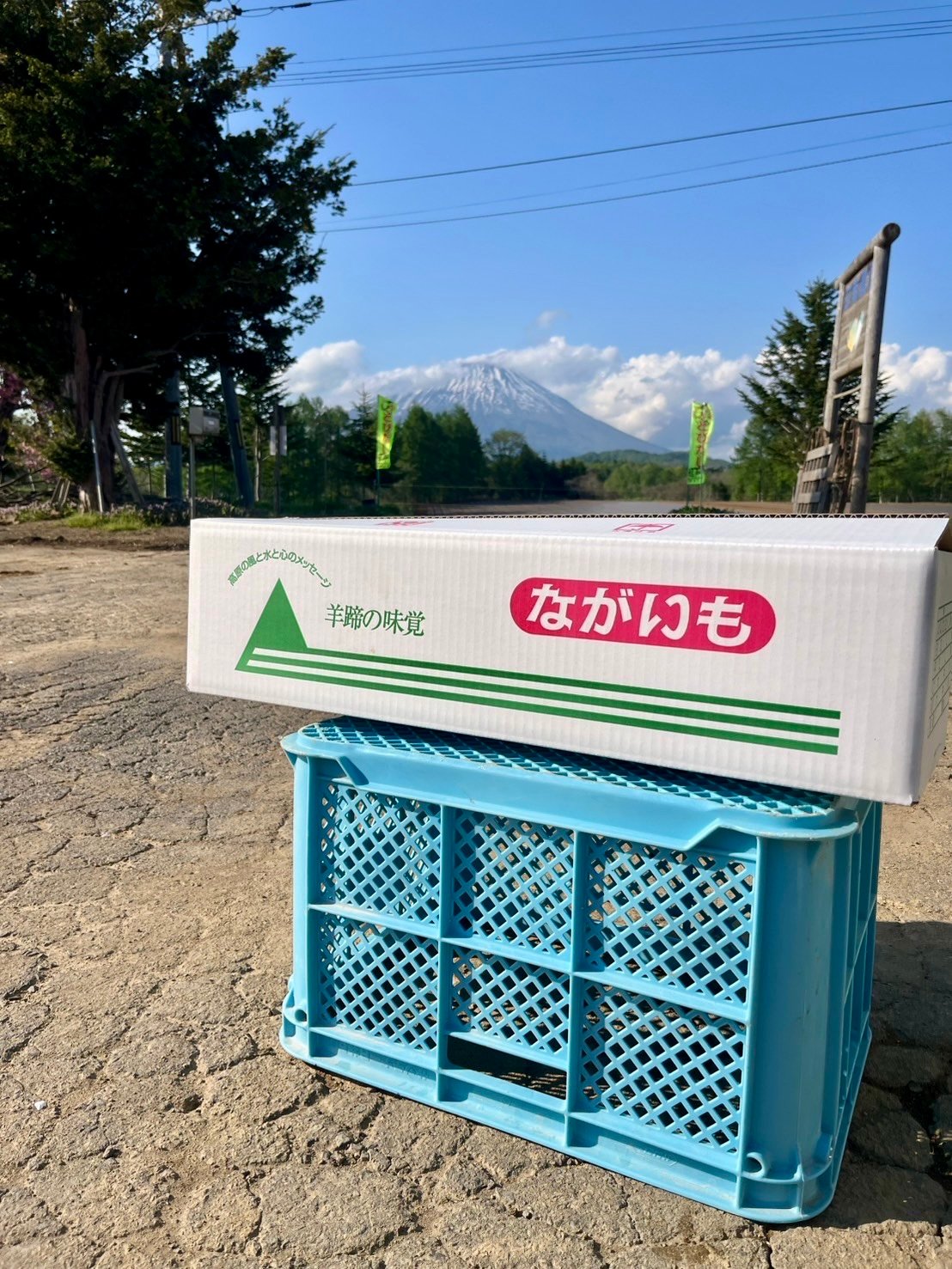 正品】ネバリスター10kg | いんなみ農園