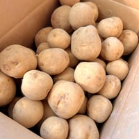 おじゃがくんっ！【きたかむい】20kg
