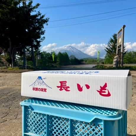 ネバリスター5kg