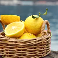 瀬戸内の恵み、自然栽培の島はるか！10kg | SEKIZEN FARM