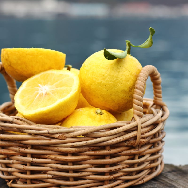 瀬戸内の恵み、自然栽培の島はるか！5kg | SEKIZEN FARM