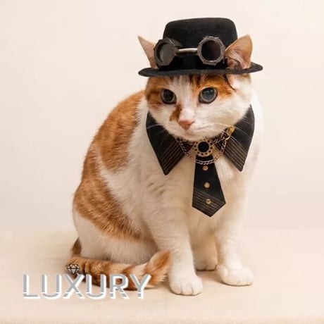 ミニハット | STORES