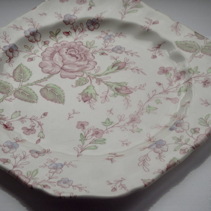 アンティーク】イギリスジョンソンブラザーズコンポティエ