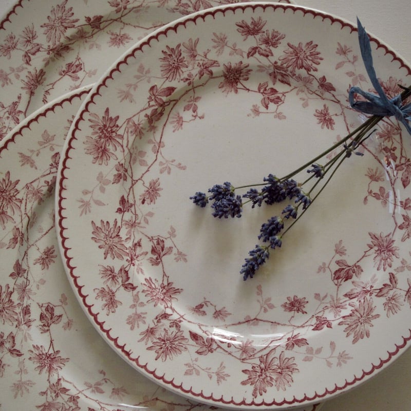 Creil et Montereau クレイユモントロー“Mignardise Creil et Montereau クレイユモントロー“Mignardise