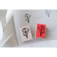 Botanicalシリーズ【クロッカス】