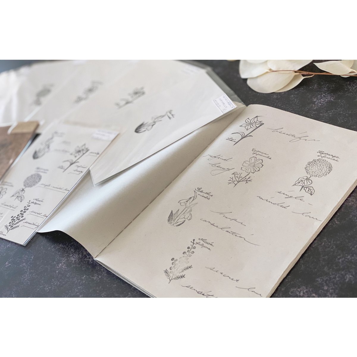 植物図鑑ポストカード・白カード5図案捺しver. | はるくいん文具店