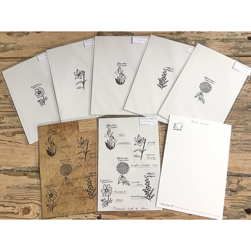 パンテラ PANTERA 直筆サイン 色紙 ポストカード ヴィンテージ パンテラ PANTERA 直筆サイン 色紙 ポストカード ヴィンテージ