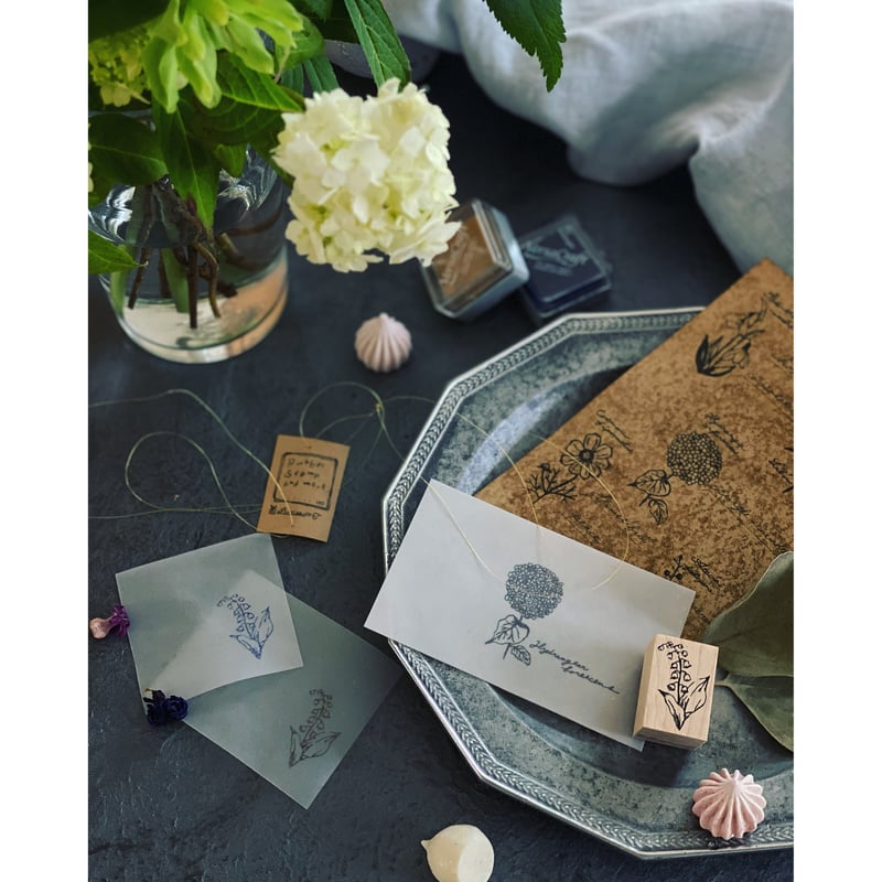 植物図鑑ポストカード・コーヒー染め5図案捺しver. | はるくいん文具店