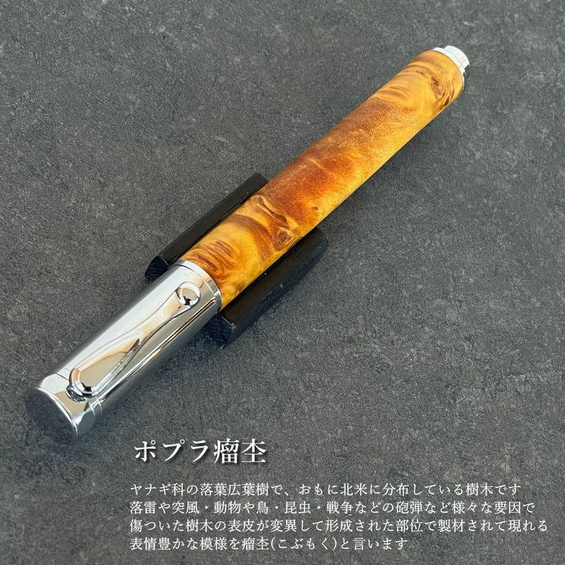 GOLDスタビライズドウッド・ポプラ瘤杢 / Cam 木軸万年筆 SN_421004