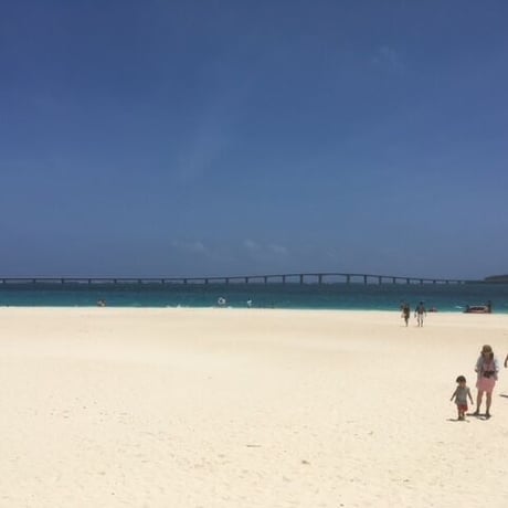 宮古島マンゴーピューレ
