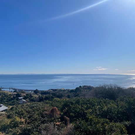 神奈川県産湘南ゴールドピューレ