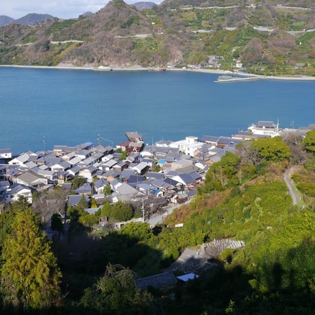 広島県産瀬戸内レモンピューレ