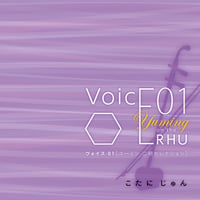 VoicE 01 Yuming on the ERHU