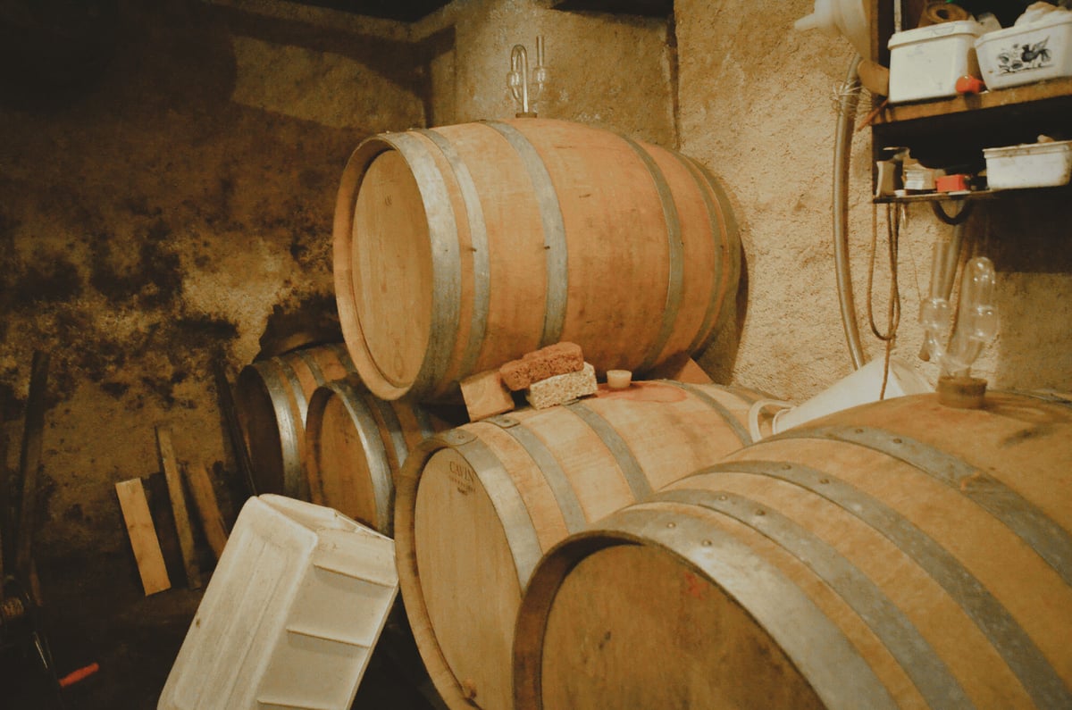 Eric Kamm - Muscat Nature 