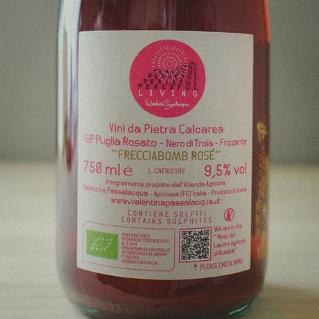 Calcarius "Frecciabomb Rosé" / カルカリウス "フレッチャボンブ ロゼ" 2021