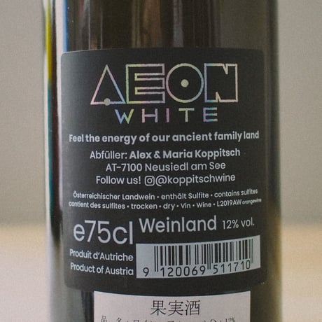 アレキサンダー・コピッチ "イオン・ホワイト" 2019 | ALEXANDER KOPPITSCH "Aeon White" 2019