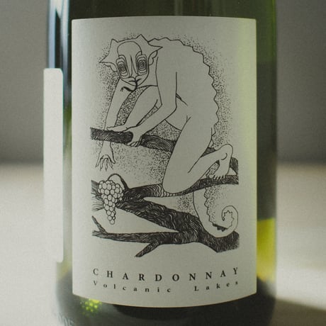 Good Intentions Wine "Volcanic Lakes Chardonnay" / グッド・インテンションズ・ワイン "ヴォルカニック・レイクス シャルドネ" 2020