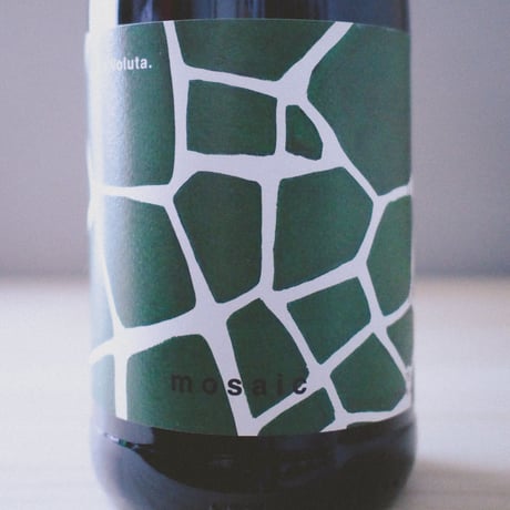 La Voluta"Mosaic" 2019 / ラヴォルタ "モザイク"2019