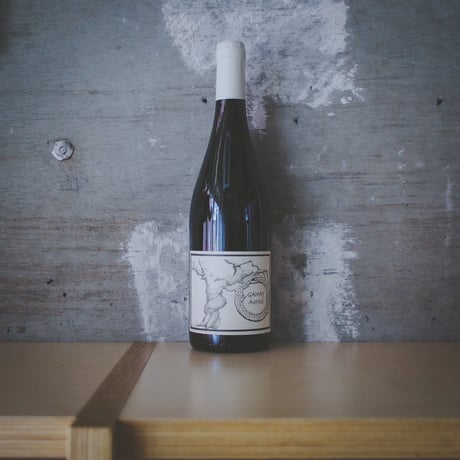 ジャン・クリストフ・ガルニエ "ガメイ・オニス” 2023 | Jean-Christophe Garnier "Gamay Aunis" 2023