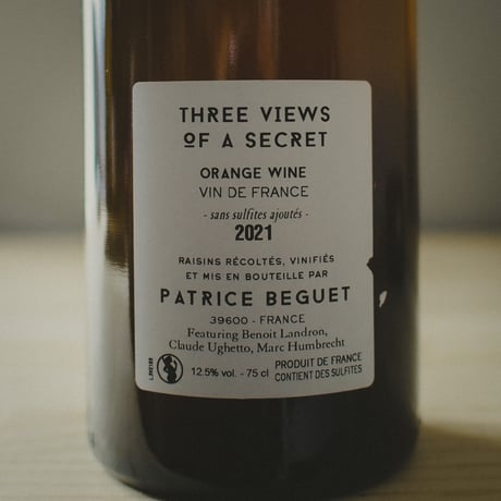 パトリス・ユグ・ベグ "スリー・ビューズ・オブ・ア・シークレット"  Patrice Hughes Beguet - "Three views of a secret" 2021