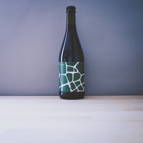 La Voluta"Mosaic" 2019 / ラヴォルタ "モザイク"2019