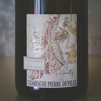 ピエール・ドゥヴィユ  プリミティフ | PIERRE DEVILLE Primitif 22B-20/21R