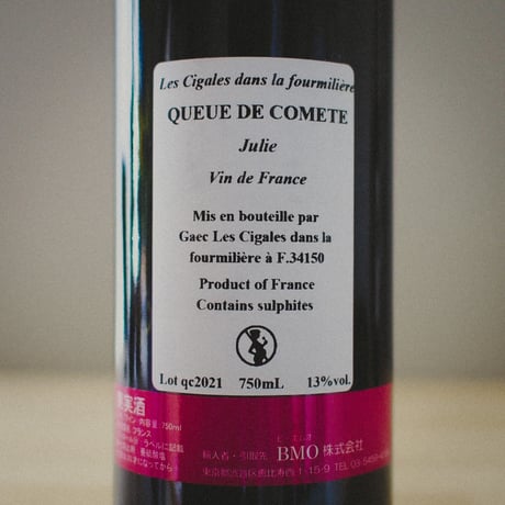ジュリー・ブロスラン "ク・ド・コメット" 2021 / Julie Brosselin "QUEUE DE COMETE" 2021