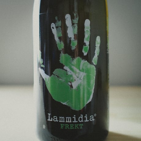 ラミディア "フレクト" 2021 / LAMMIDIA "FREKT" 2021