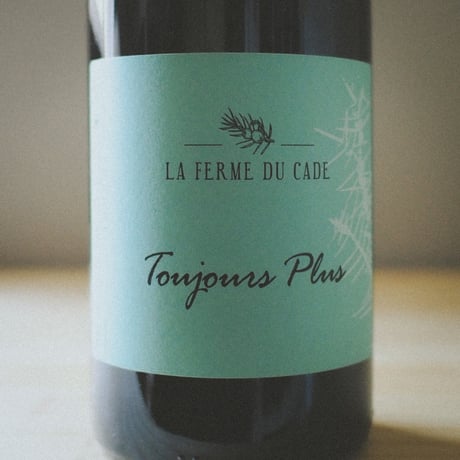 ラ・フェルム・デュ・カード "トゥージュール・プリュス" 2021 / La Ferme Du Cade "TOUJOURS PLUS" 2021