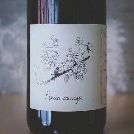 ヴァンサン・ショヴロ "パンセ・ソヴァージュ" 2020 | Vincent Chauvelot "Pensees Sauvages" 2022