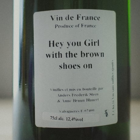 Anders Frederik Steen アンダース・フレデリック・スティーン "Hey you Girl with the brown shoes on" 2016