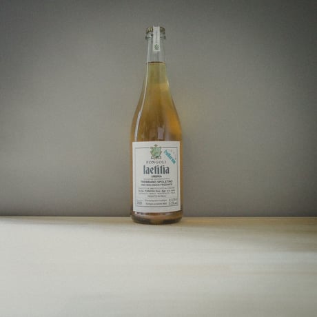 Fongoli "Laetitia Bullarum" / フォンゴリ"ラエティティア ブッラルム" 2020
