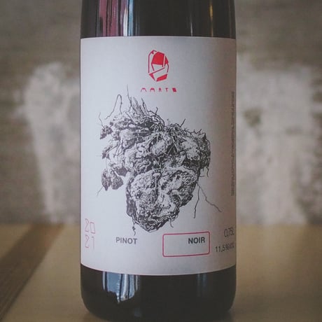 ヴァイングート・ヴェルナー "マルト ピノノワール" 2021 | Weingut Wörner "Marto Pinot Noir" 2021