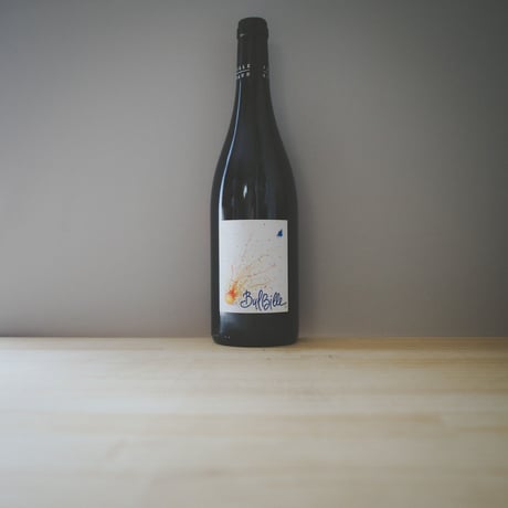 ドメーヌ・リショー "キュヴェ・ビュルビーユ" 2022  |  DOMAINE RICHAUD "Bulbille Rouge" 2022