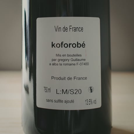 Grégory Guillaume "Koforobé” 2020 / グレゴリー・ギヨーム "コフォロベ" 2020