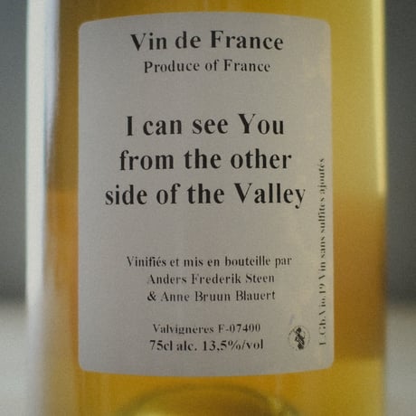 Anders Frederik Steen アンダース・フレデリック・スティーン "I can see You from the other side of the Valley" 2019