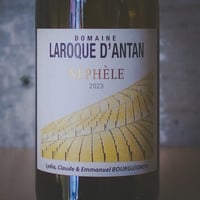 ブルノ・デュシェン 