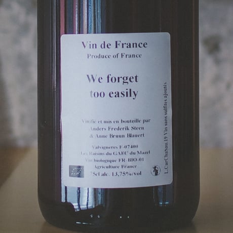 アンダース・フレデリック・スティーン "ウィ・フォゲット・トゥ・イージリー" 2019 | Anders Frederik Steen "We forget too easily" 2019