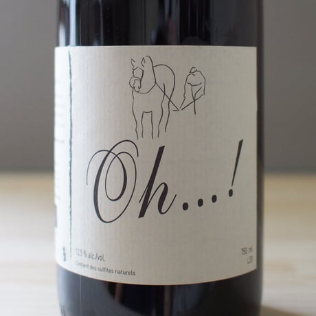Michel Guignier "Oh….!" ／ ミッシェル・ギニエ  "オー….！" 2020