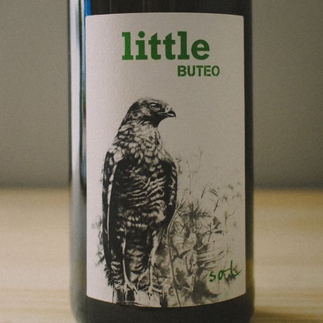 ミヒャエル・ギンドル "リトル・ブテオ" 2021 | Michael Gindl "little BUTEO" 2021
